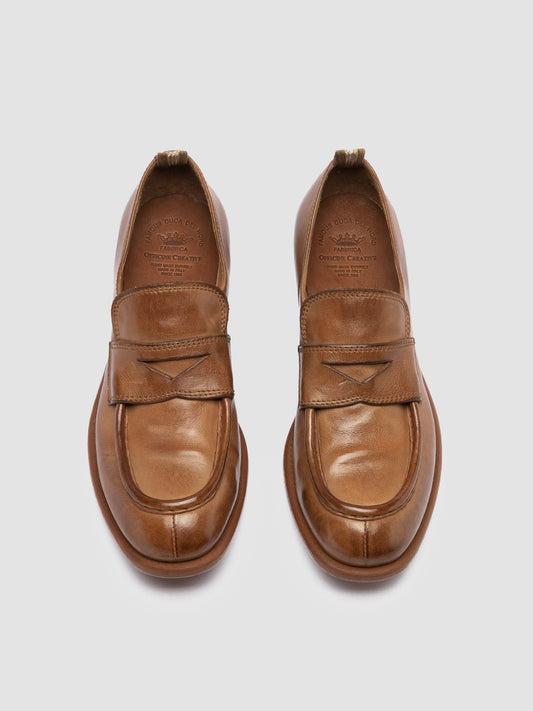CALIXTE/020 IGNIS T. TONAL NUTSHEEL