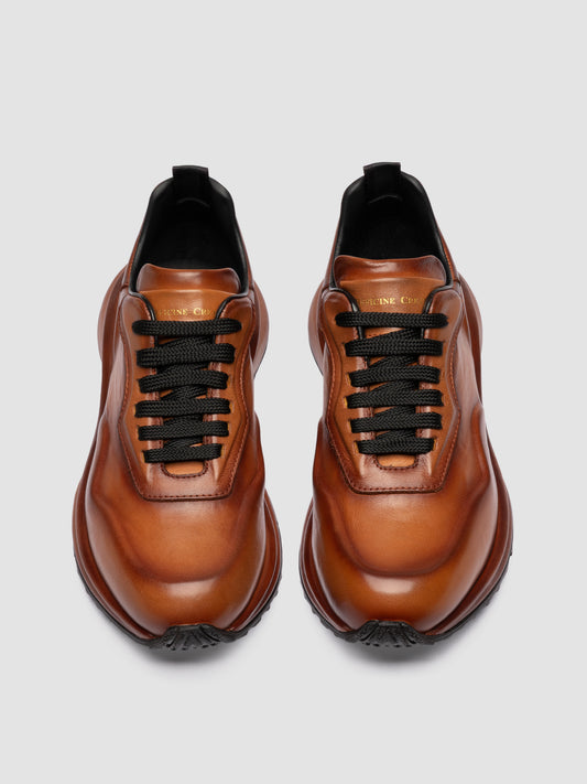 OCDAXIS101WILD1D210_2.JPG