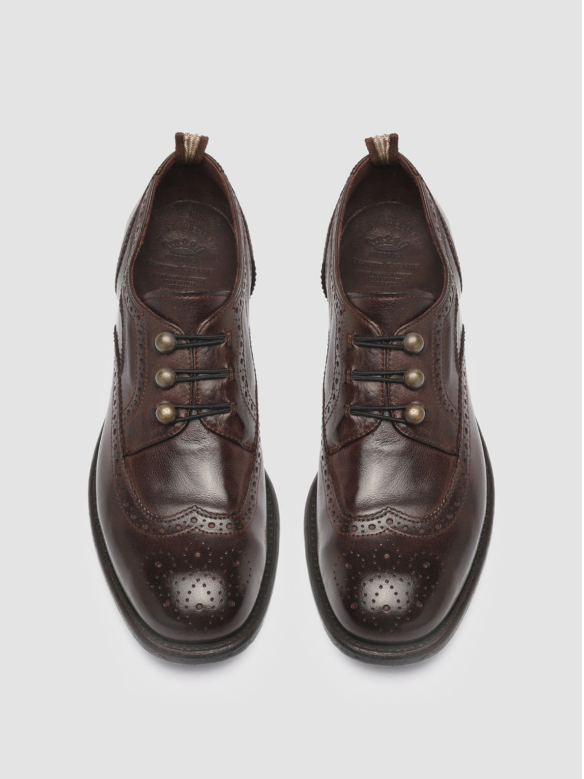 CALIXTE/035 IGNIS T. OTTO