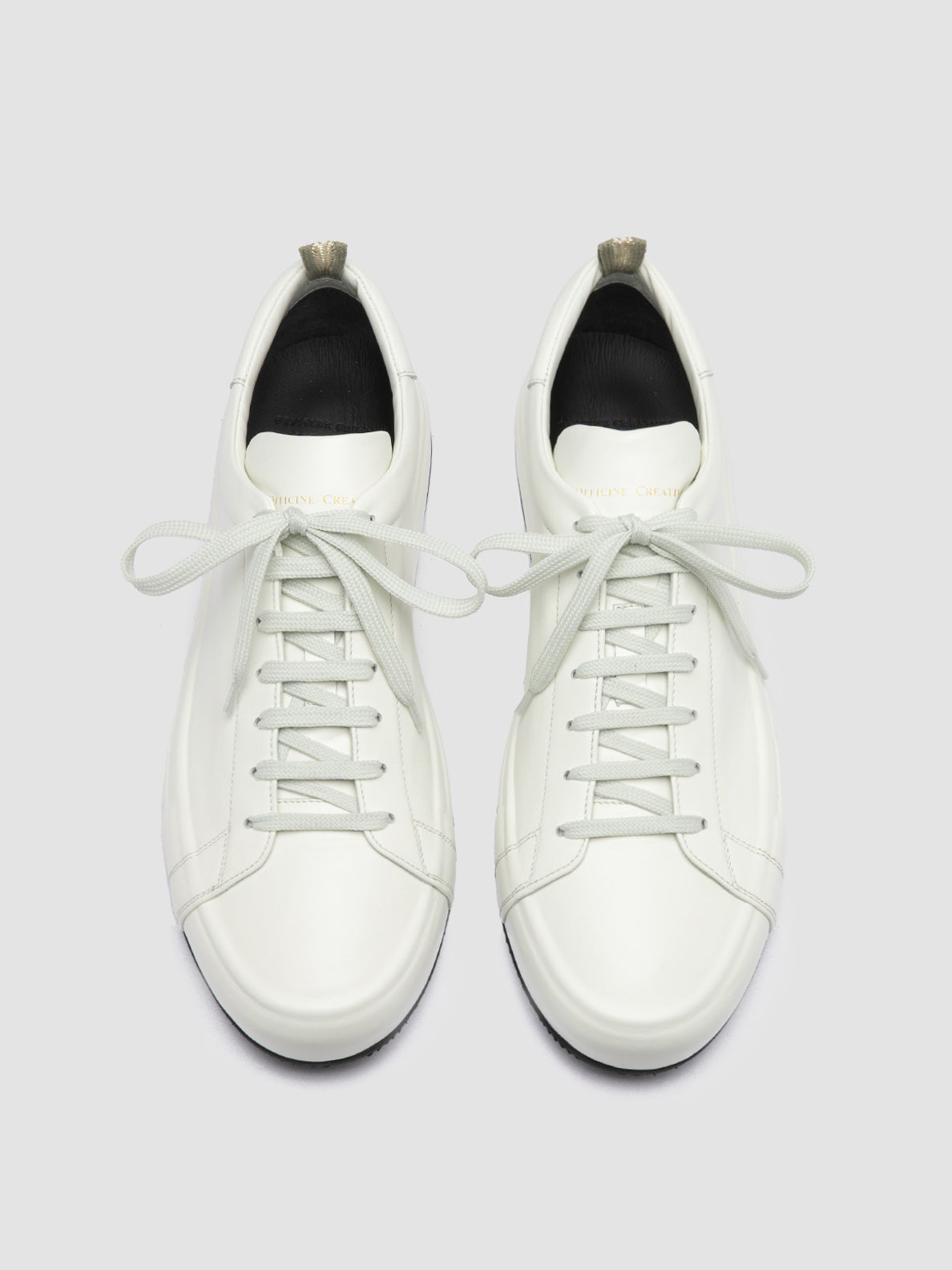 EASY/001 LILLE BURRO