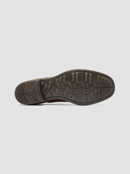 CALIXTE/003 IGNIS T. CIGAR