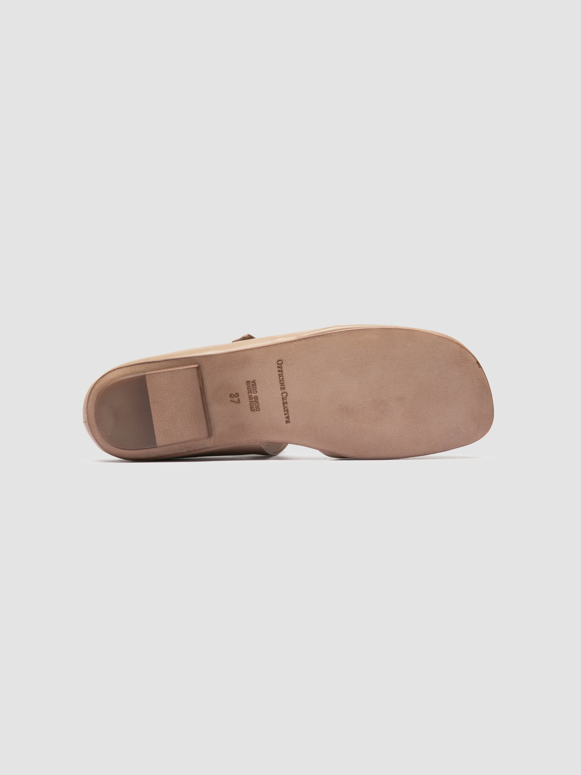 MEREDITH/005 GUANTERIA LEAD